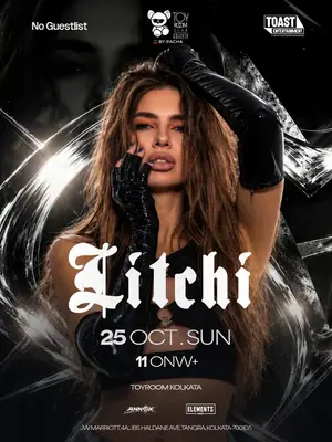 DJ Litchi poster
