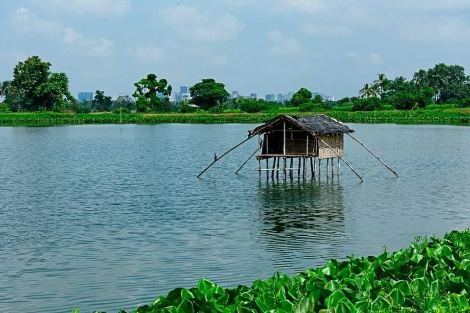 East Kolkata Wetland – A Ramsar Site
