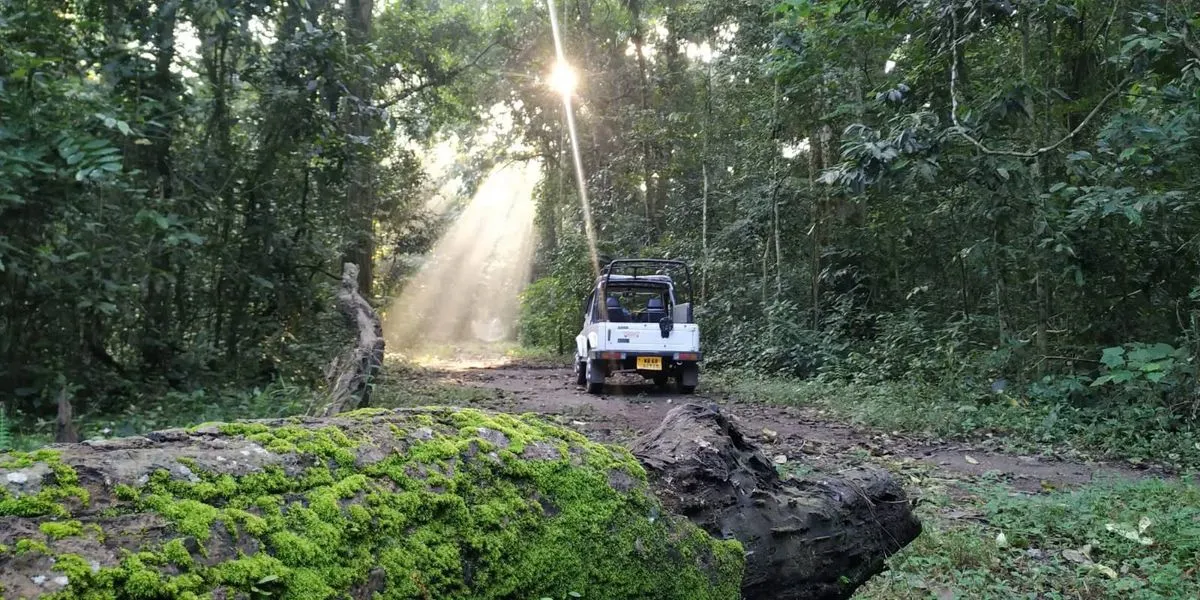 Jayanti to Buxa: A Living Landscape Journey