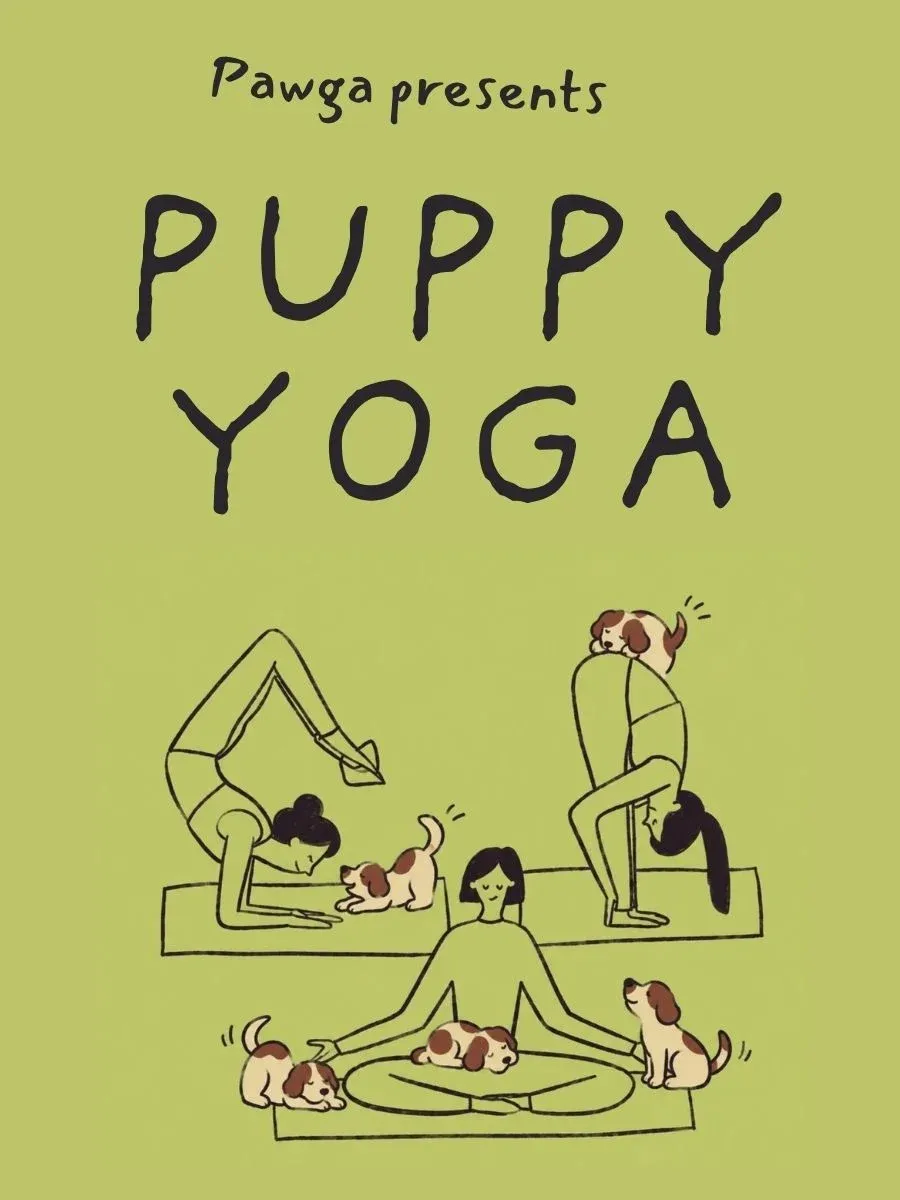Pawga's Yoga with Puppies at Blissful Monkey Studio - Ballygunge